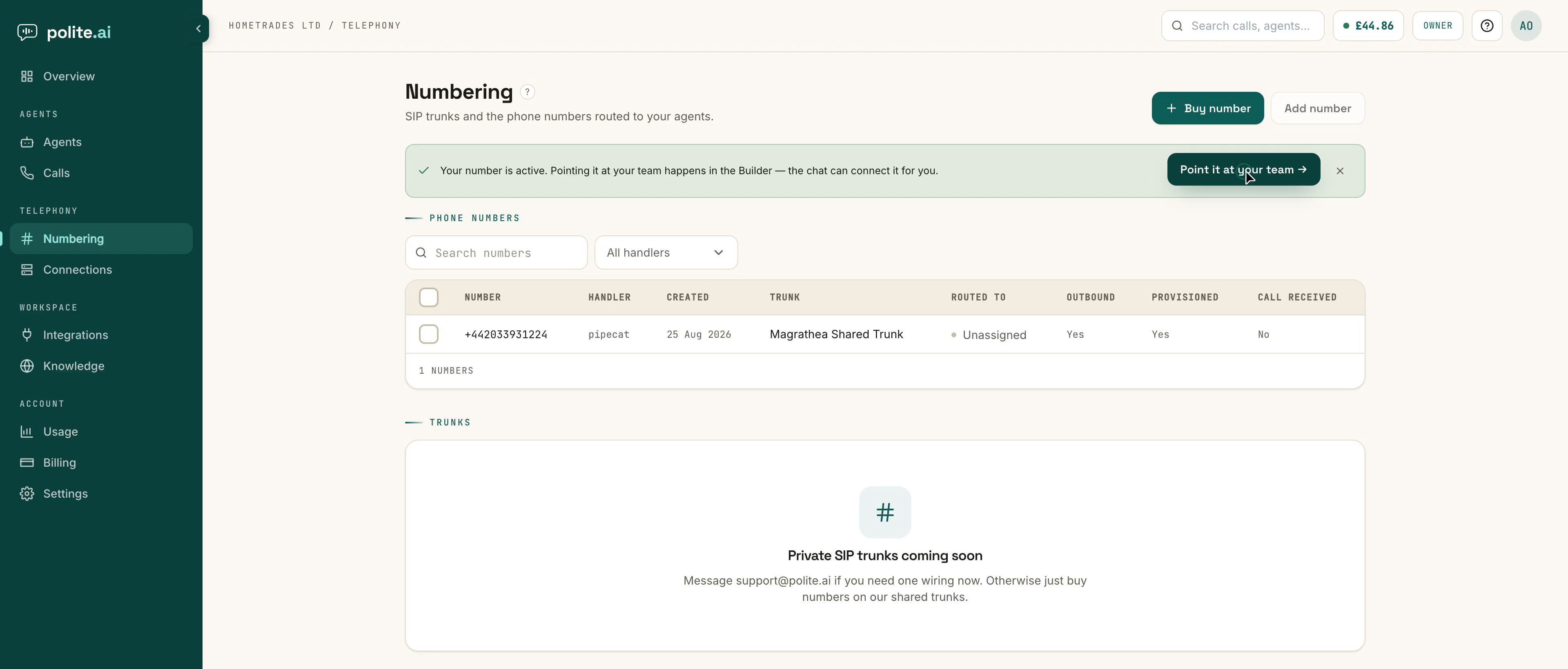 The Numbering screen after a purchase: a banner confirming the number is active with Point it at your team, then the phone-numbers table showing the number, its handler, trunk, routing state, and whether it is provisioned